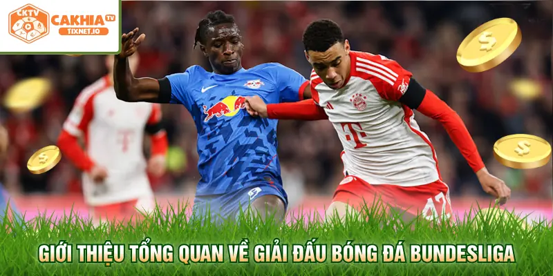 Bảng Xếp Hạng Bundesliga Cập Nhật Nhanh Nhất Mùa Giải 2026 1 Giới thiệu tổng quan về giải đấu bóng đá Bundesliga