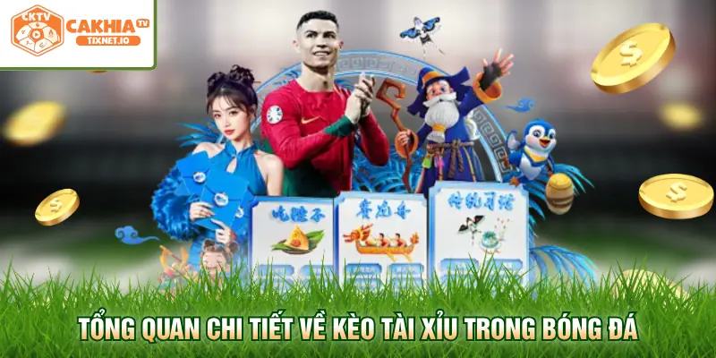 Kèo Tài Xỉu Là Gì Và Phương Pháp Đọc Tỷ Lệ Chuẩn Xác 1 Tổng quan chi tiết về kèo tài xỉu trong bóng đá